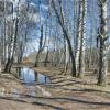 Апрель :: **** vedin