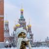 Мурзик :: Дмитрий Карасев