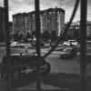 №477 :: Alex Bes