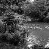 Пейзаж :: Николай 