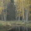 Золотая осень :: Максим Вышарь