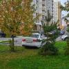 Осень в городе :: Валерий Иванович