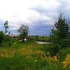 за городом :: Елена Шаламова