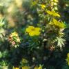 Природа :: Yuriy V
