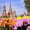 24 сентября :: Михаил Бибичков