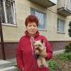 Дама с собачкой . :: Мила Бовкун