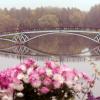 Царицыно 26 сентября :: Михаил Бибичков