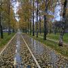 Однажды утром на бульваре........ :: Василий Аникеев
