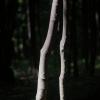Кусочек солнечного света :: Дмитрий *