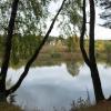 Снова осень стоит у пруда. :: Люба 