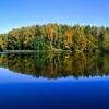 Реальность и отражение. :: Владимир Алексеевич Милешкин