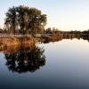 Безмятежность летнего вечера :: Oleg S