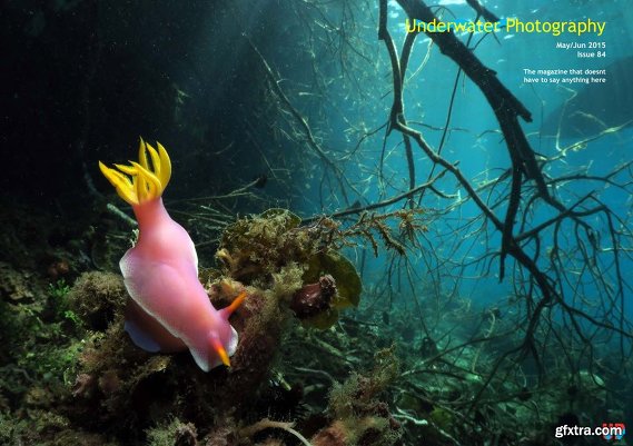 Underwater Photography (May-June 2015)