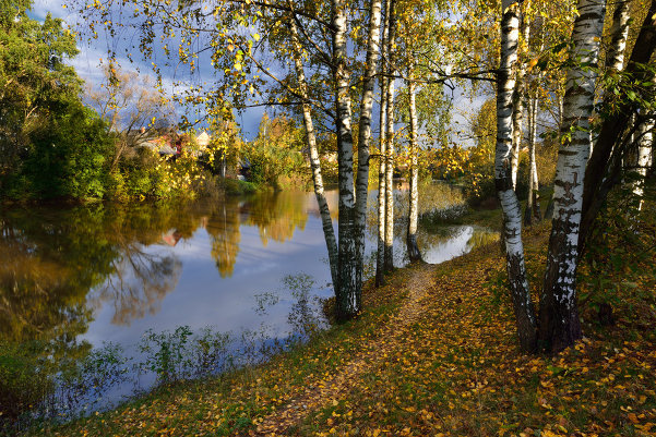 Золотая осень