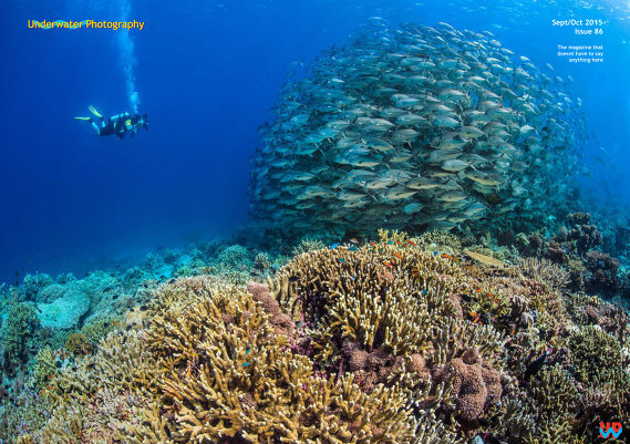 Underwater Photography (September-October 2015)