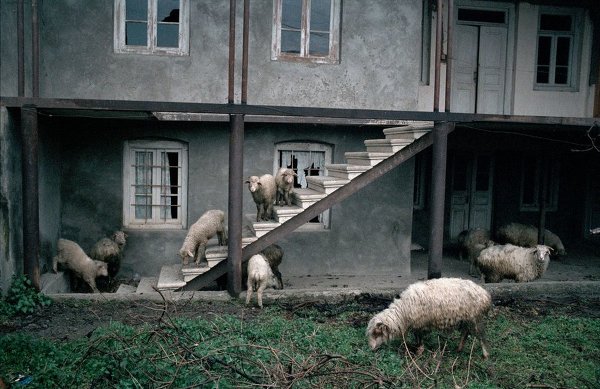 Фотограф Дмитрий Гомберг