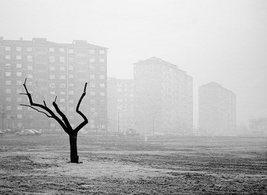 Итальянский фотограф Аугусто Кантамесса