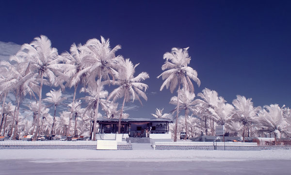 Фотограф Нимит Нигам