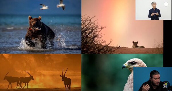 Sigma Stage Online: Sigma 150-600mm F5-6.3 DG DN OS Sport (Видеообзор!)