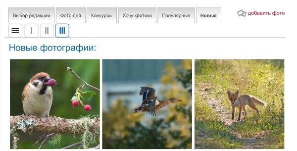 Мобильное улучшение ФотоКто