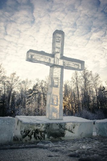 Изольда. Вечерняя прогулка в Подмосковном лесу