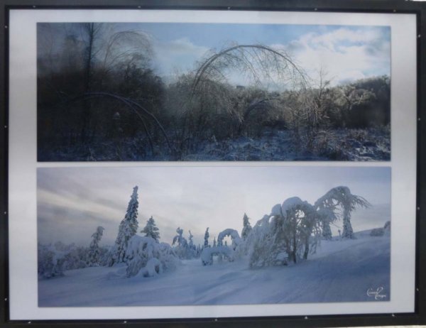 "Лед и снег"