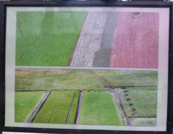 "Цвет земли"