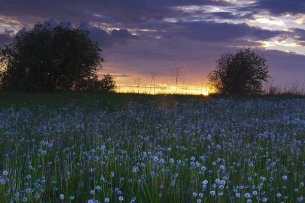 Солнышко ушло бай-бай...))