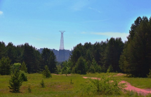 вид из леса вид из леса