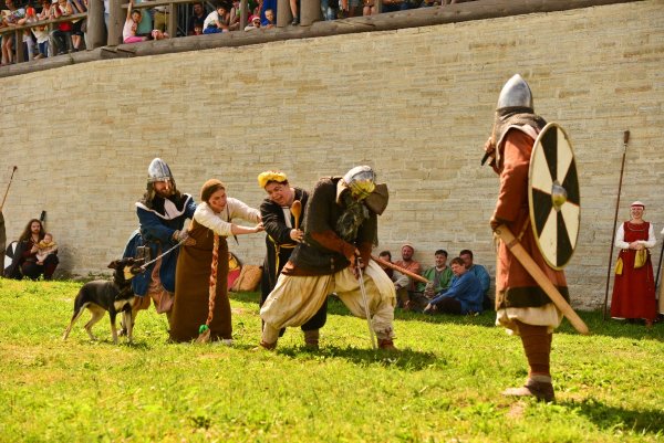 10 - Жучка за Внучку, ...