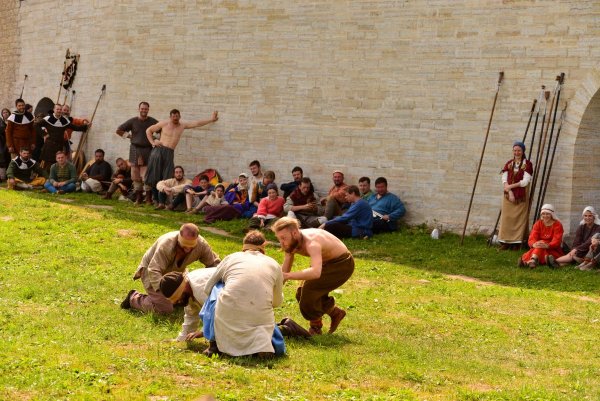 молодой и резвый поросенок крутится рядом ...