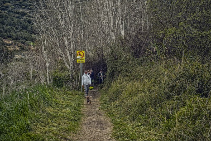 В долине Кирьят Харошат Вальруй. Под Кирьят-Тивоном 2025г