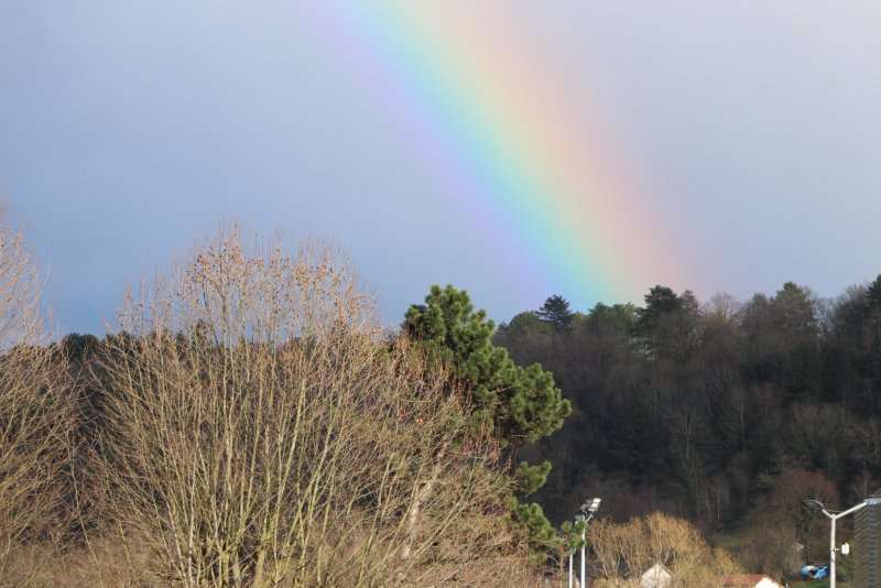 20240226184750_IMG_9405