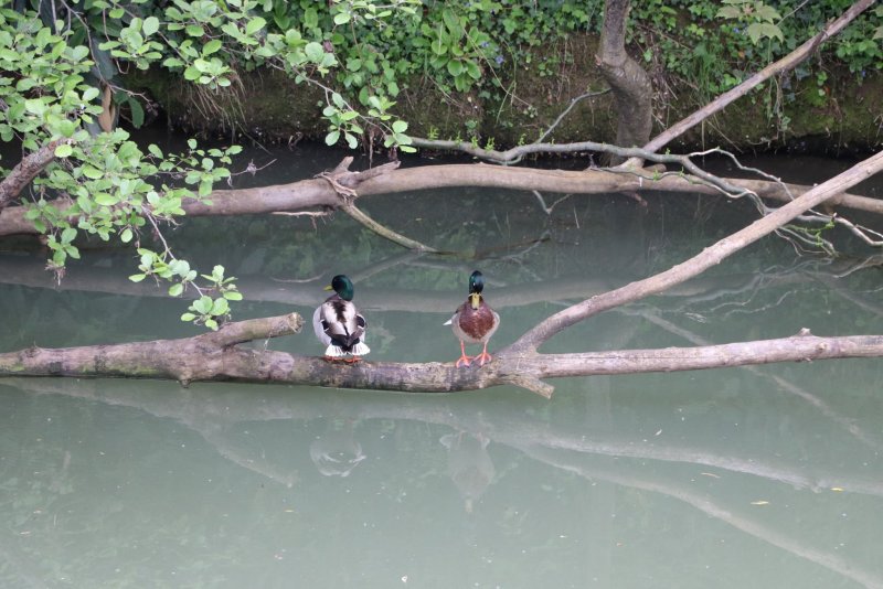 20240501195102_IMG_0484