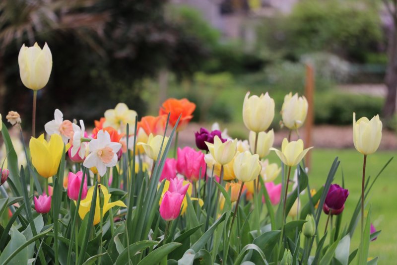 20240407174744_IMG_0158