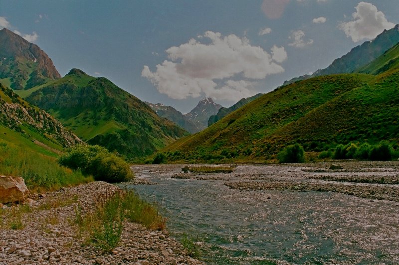 100811000009200028 С