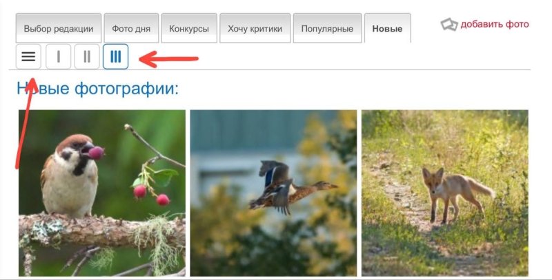 Мобильное улучшение ФотоКто - №1