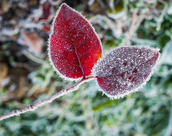 Вариант, отредактированный мною