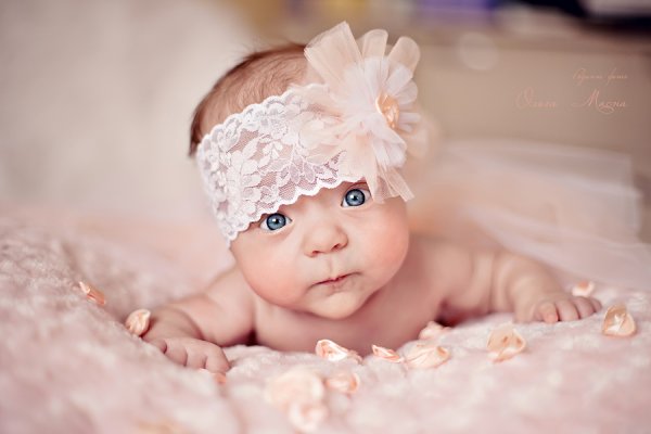 друзья,нужен ваш  мудрый совет - №2