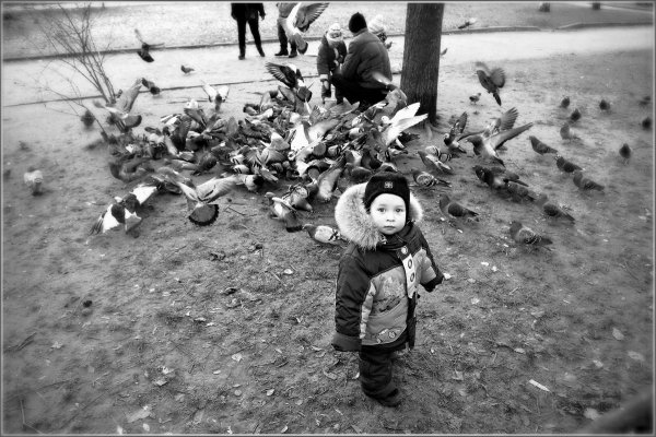 Питерские зарисовки Питерские зарисовки