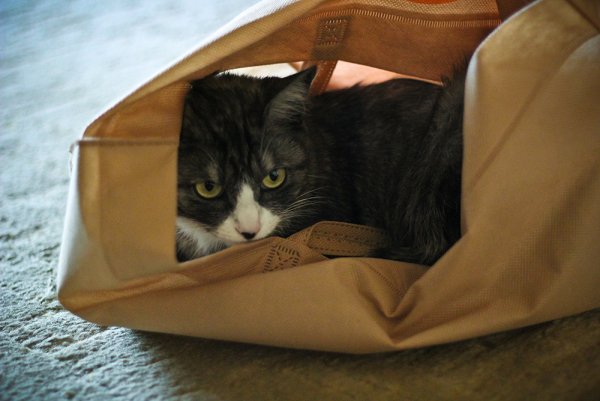 Приключение Джеки - №5 Приключение Джеки - №5