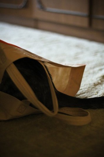 Приключение Джеки - №4 Приключение Джеки - №4