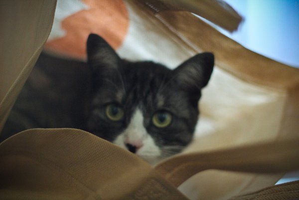 Приключение Джеки - №10 Приключение Джеки - №10