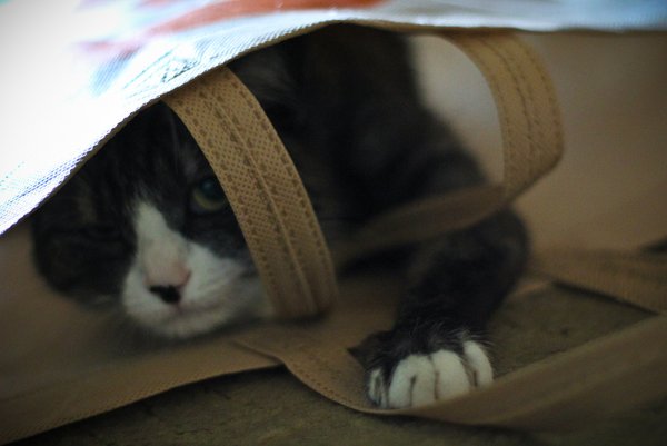 Приключение Джеки - №22 Приключение Джеки - №22