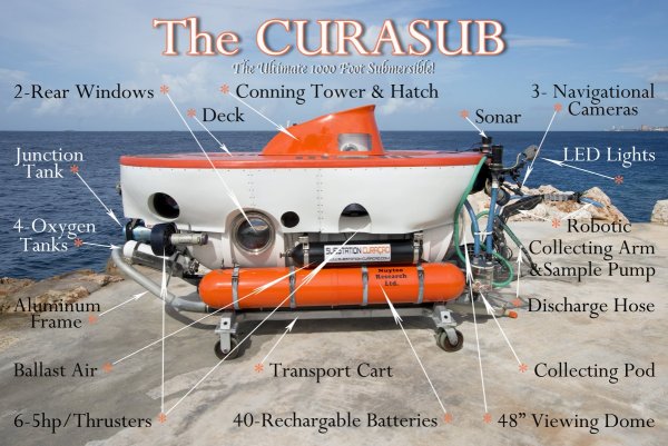 The Curasub